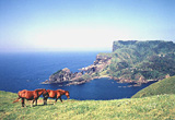 Kuniga Coastline