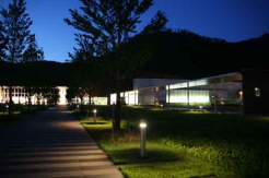 night museum