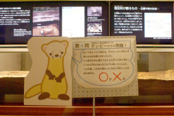クイズラリーイメージ1