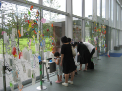 tanabata