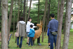 アテンダントツアー
