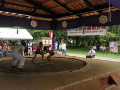 第22回野見宿禰わんぱく相撲大会の様子<br>後ろにはどすこい看板（右側端）