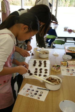 一度溶かして冷えてきたチョコを、小分けして並べていきます