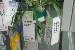 笹と短冊2