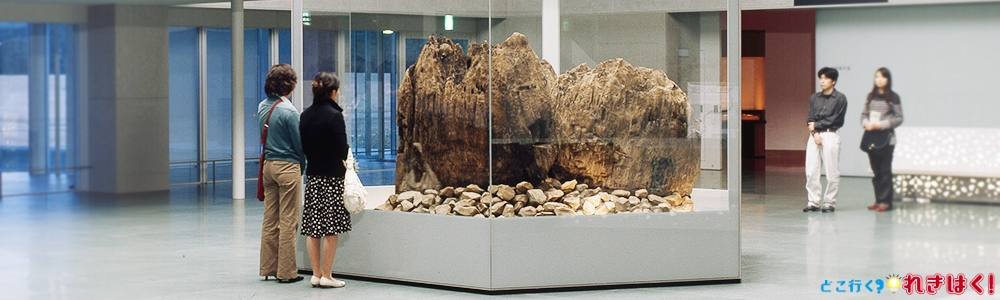 島根県立古代出雲歴史博物館