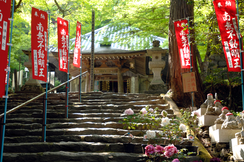 山口県　龍蔵寺