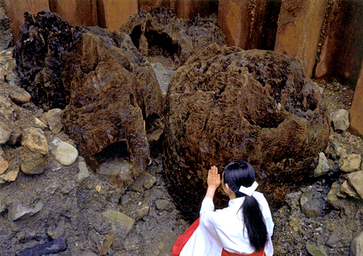 Exhibition of “Uzu” pillars in the main lobby unearthed within the Izumo Grand Shrine precincts