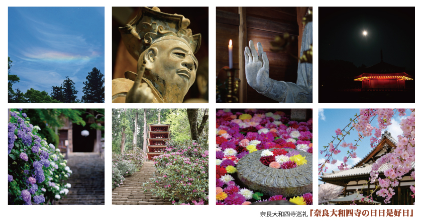 奈良大和四寺の日日是好日